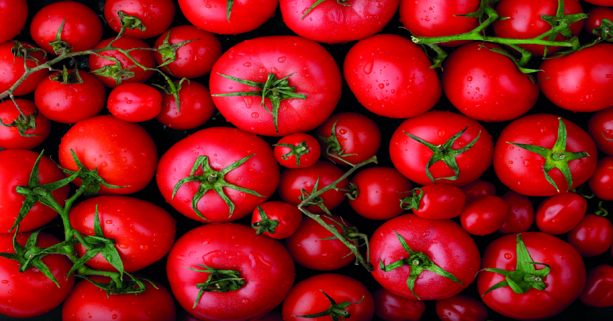 ¿Cómo se dice tomate o jitomate?
