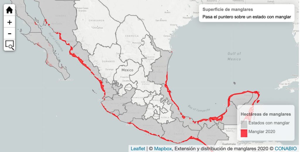 El Manglar Frontera Entre El Mar Y La Tierra Que Sirve Como Barrera