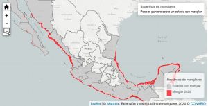 Mapa de manglares en México de acuerdo con Biodiversidad mexicana. 