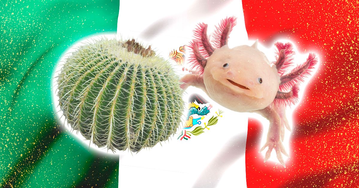 México especies endémicas