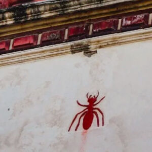 La hormiga del fin del mundo de Azcapotzalco 