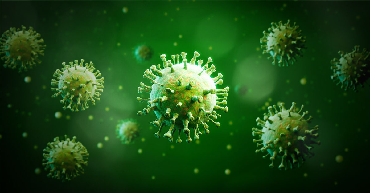 Coevolución de los virus y el ser humano: el VPH 
