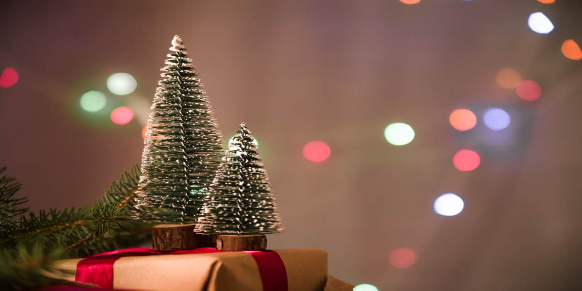 Origen e historia del árbol de navidad
