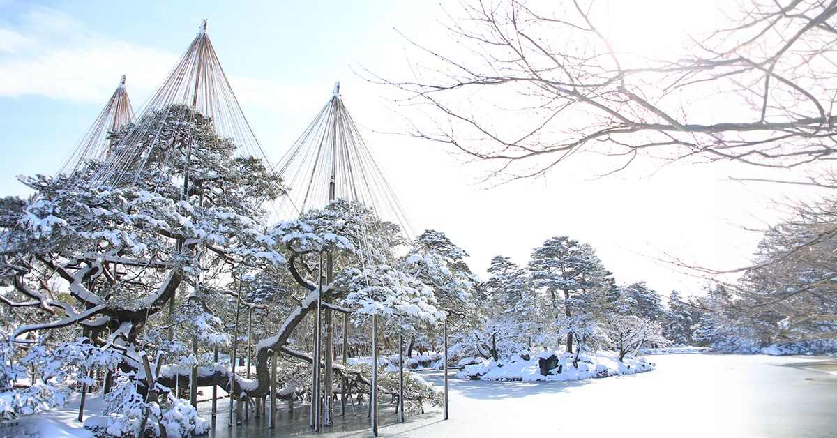 Yukitsuri: así protegen de la nieve a los árboles en Japón 

