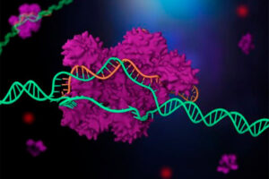 Ilustración 3D de la edición genética | Fuente: ShutterStock 