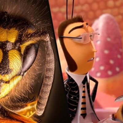 Fotograma de la película Bee Movie