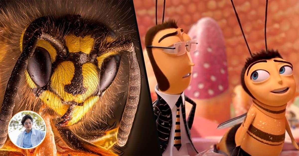 Fotograma de la película Bee Movie