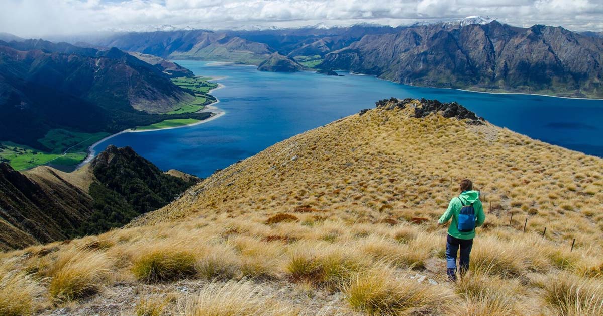 Vista panorámica de área natural en Nueva Zelanda,