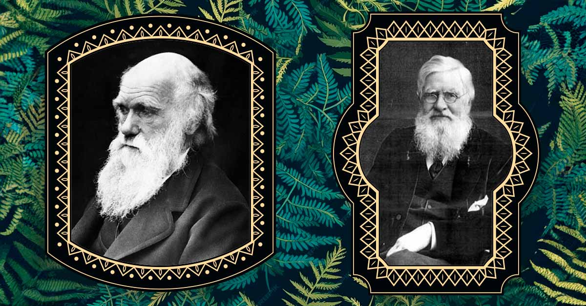 Charles Darwin y Alfred Wallace