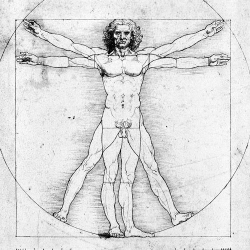 Anatomía humana por Leonardo Da Vinci