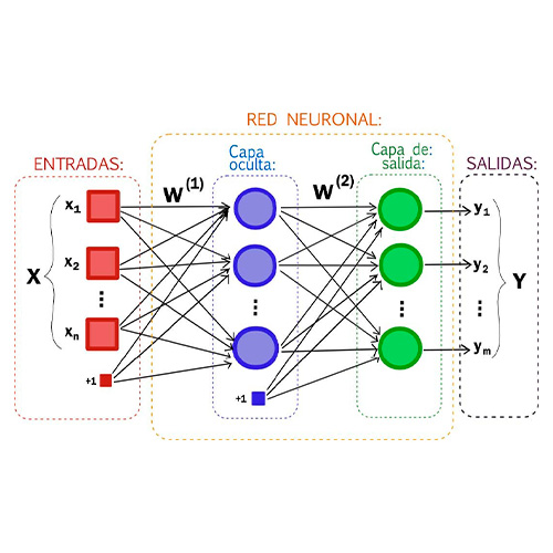 El machine learning usa redes neuronales para funcionar | LinkedIn 