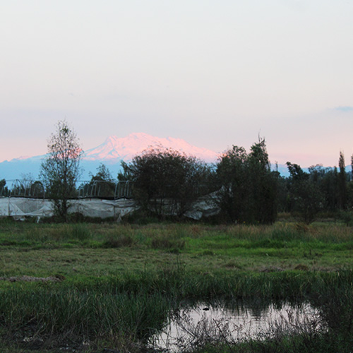 Volcanes vistos desde xochimilco