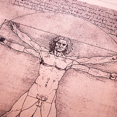 Imagen del cuerpo de Da Vinci