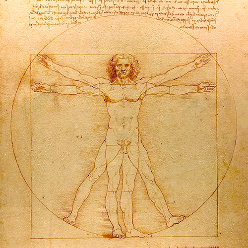 Imagenes de como es el cuerpo por Da Vinci