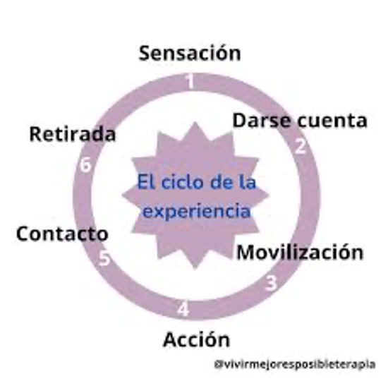 Etapas del ciclo de la experiencia