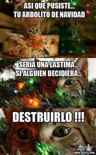 Meme de gatito y árbol de navidad