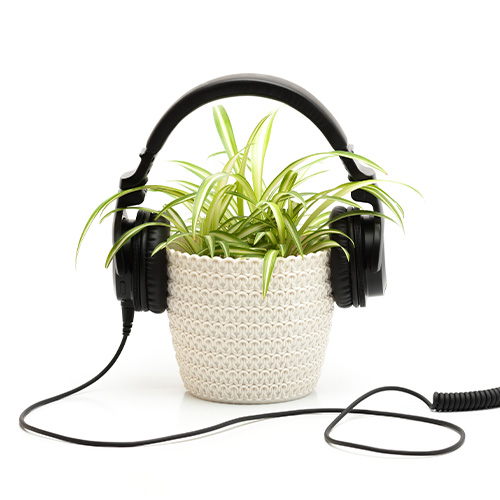 Planta con audifonos