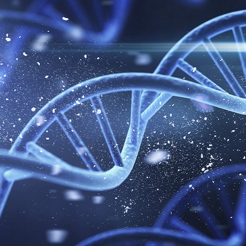 spiral dna double helix structure