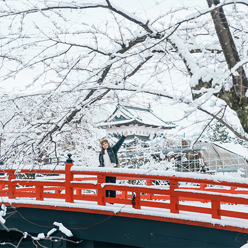 Paisaje japones nevado