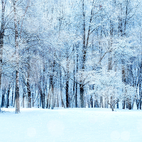 Paisaje invernal