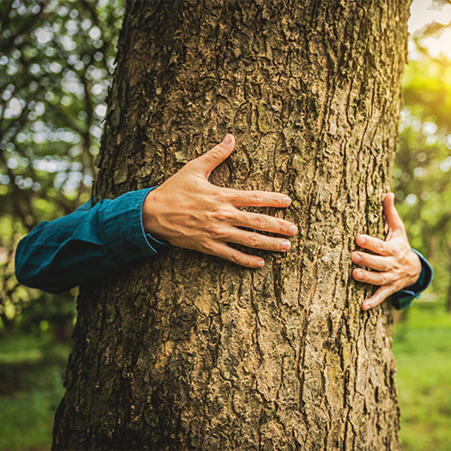 Persona abrazando un árbol