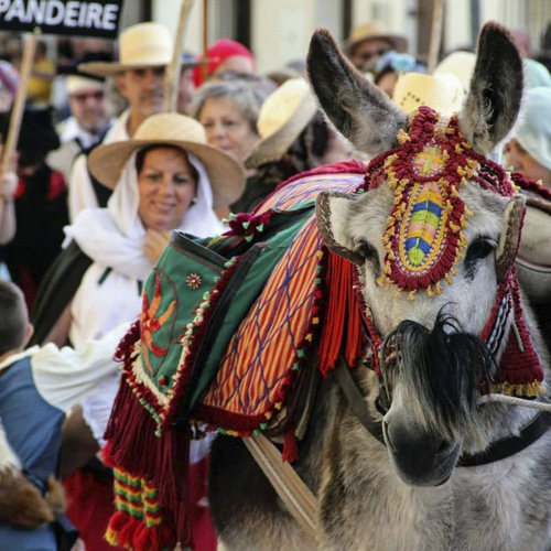 Otumba, Estado de México | Fuente: Instagram 